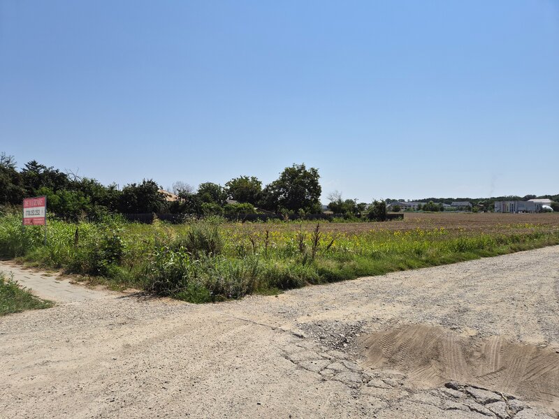 Snagov, Ciofliceni