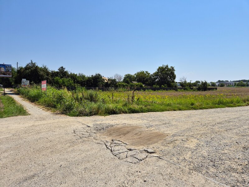 Snagov, Ciofliceni