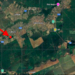 Snagov, Ciofliceni