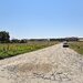 Snagov, Ciofliceni