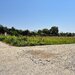 Snagov, Ciofliceni