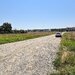 Snagov, Ciofliceni